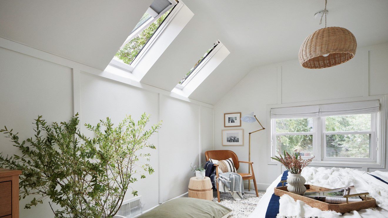 bba3defd-8d6b-44c6-adc3-1a4122874e2d